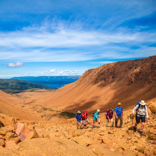 The Tablelands in Gros Morne National Park is one of the few places on the planet where you can explore the earth’s mantle. Become part of a geological story – half a billion years in the making.